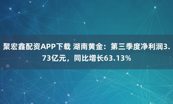 聚宏鑫配资APP下载 湖南黄金：第三季度净利润3.73亿元，同比增长63.13%